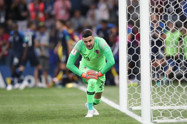 的影响下 的影响下