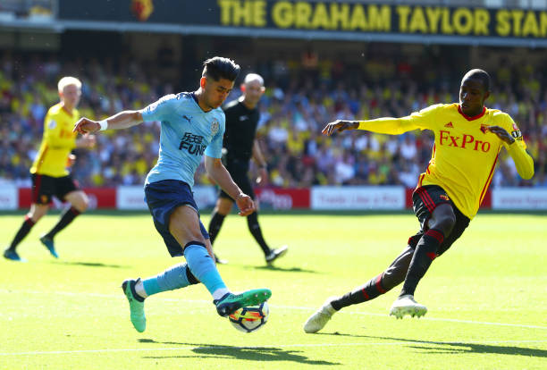 是罗马对他 是罗马对他